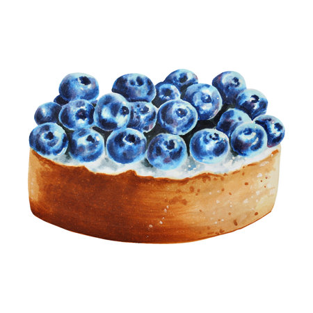 Watercolor blueberry tartlet. Hand painting sweet juicy berries on a white isolated background. For designers, menu, shop, bar, bistro, restaurant, for postcards, wrapping paper, covers. For posters and textile.の写真素材