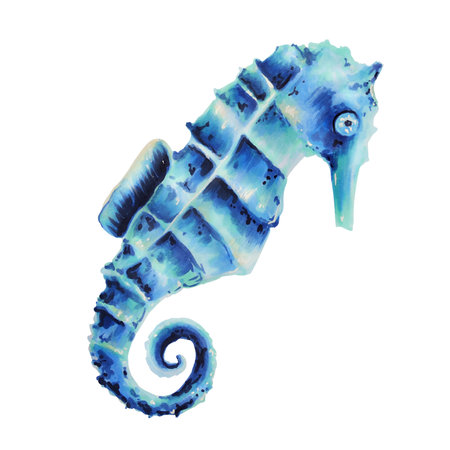 Watercolor sea horse. Hand painting clipart underwater life objects on a white isolated background. For designers, decoration, postcards, wrapping paper, scrapbooking, covers, invitations, wedding design, posters and textile.の写真素材
