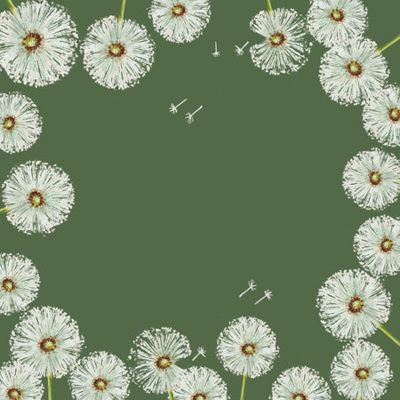 Watercolor frame of dandelions flowers and green leaves. Hand painting clipart botanical meadow illustration on a white isolated background. For designers, decoration, postcards, wrapping paper, scrapbooking, covers, invitations, wedding design, posters and textileの写真素材