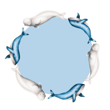 Watercolor frame with blue whale and beluga isolated on white background. Hand painting realistic Arctic and Antarctic ocean mammals. For designers, decoration, postcards, wrapping paper, scrapbooking, covers, logos, invitations, posters and textileの写真素材