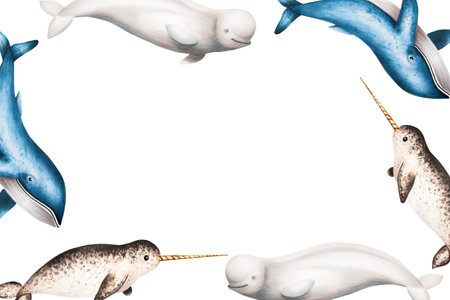 Watercolor frame with beluga, blue whale and narwhal isolated on white background. Hand painting realistic Arctic and Antarctic ocean mammals. For designers, decoration, postcards, wrapping paper, scrapbooking, covers, logos, invitations, posters and textileの写真素材