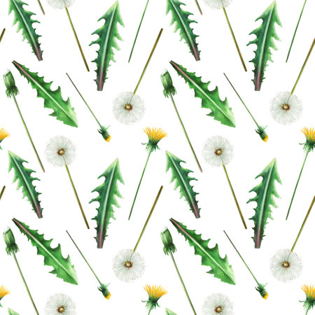 Watercolor seamless pattern with dandelions flowers and green leaves. Hand painting clipart botanical meadow illustration on a white isolated background. For designers, decoration, postcards, wrapping paper, scrapbooking, covers, invitations, wedding design, posters and textileの写真素材