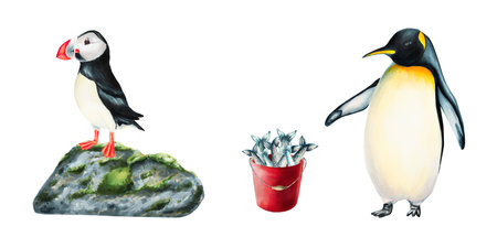 Watercolor arctic animals set isolated. Puffin bird on stone and king penguin with red bucket full of fish. For designers, decoration, postcards, wrapping paper, scrapbooking, cover and logos, invitations, posters and textileの写真素材