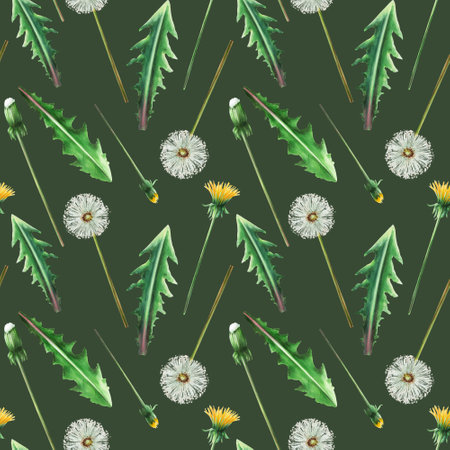 Watercolor seamless pattern with dandelions flowers and green leaves. Hand painting clipart botanical meadow illustration on white isolated background. For designers, decoration, postcards, wrapping paper, scrapbooking, covers, invitations, wedding design, posters and textileの写真素材