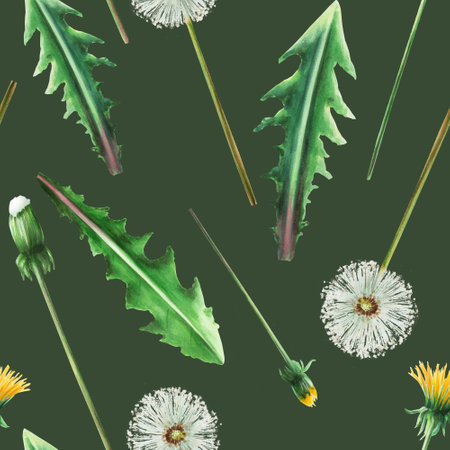Watercolor seamless pattern with dandelions flowers and green leaves. Hand painting clipart botanical meadow illustration on white isolated background. For designers, decoration, postcards, wrapping paper, scrapbooking, covers, invitations, wedding design, posters and textileの写真素材