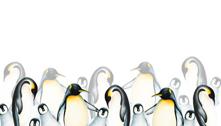Watercolor seamless border with king penguin family isolated. Hand painting realistic Arctic and Antarctic ocean mammals. For designers, decoration, postcards, wrapping paper, scrapbooking, covers, logos, invitations, posters and textile.の写真素材