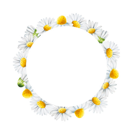Watercolor white daisy flowers frame, logo and template isolated. Chamomile. Beauty products and botany set, cosmetology and medicine. For designers, spa decoration, postcards, wrapping paper, scrapbooking, covers, invitations, posters and textileの写真素材