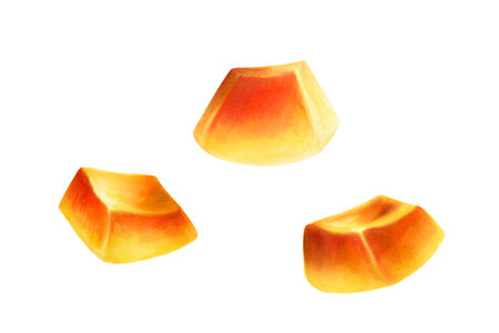 Watercolor sweet ripe slice of papaya, melon, mango. Hand drawn realistic tasty organic illustration of exotic tropical fruit isolated on background. For designers, wedding, decoration, postcards, wrapping paper, scrapbooking, covers, invitations, poの写真素材