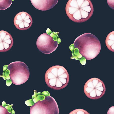 Purple mangosteen seamless pattern. Tropical watercolor fruit illustration isolated on background. For designers, spa decoration, postcards, wedding, greetings, wallpapers, wrapping paper, scrapbooking, covers, invitations, posters and textile.の写真素材