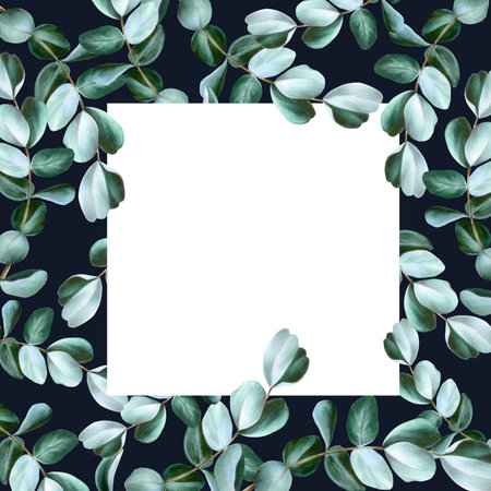 Realistic frame with eucalyptus branches. Watercolor hand drawn green plant isolated on transparent background. Christmas, winter, and wedding illustration. For designers, invitations, decoration, postcards, wrapping paper, scrapbooking, covers.の写真素材