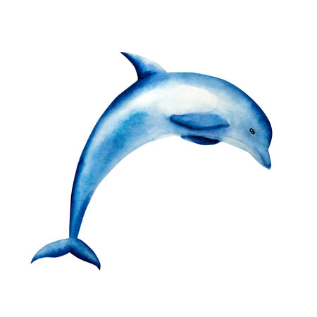 Dolphin jumping. Watercolor hand drawn illustration isolated on background. For designers, postcards, greetings, birthday, calendar, wallpapers, wrapping paper, logo, baby designの写真素材