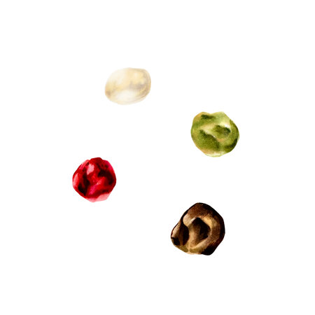 Pepper mix. Black, red, white and allspice. Watercolor hand drawn aromatic seeds, spice illustration isolated on transparent background. For designers, menu, decoration, food blog, ecofriendly branding. Healthy Vegetarian Dietの写真素材