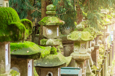 Rows of ancient stone, concrete and wooden lanterns covered in moss. Nara park, Japanの写真素材