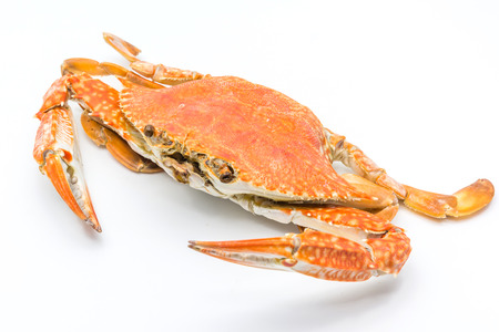 Steamed craps isolated on a white background, Closed upの写真素材