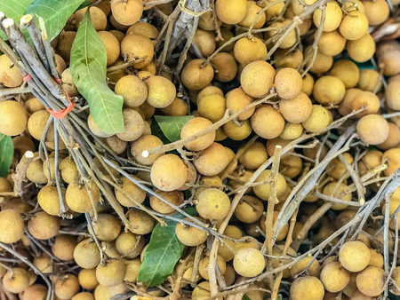 longan, fresh longan fruit, Dimocarpus longan, fruit from Asia, the same family of lychee.