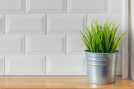 Beautiful houseplant with flowerpot on light wooden office table texture and white background captured by front viewの写真素材