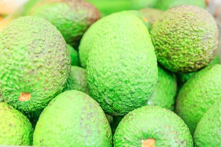 Avocado also refers to the Avocado tree's fruit, which is botanically a large berry containing a...