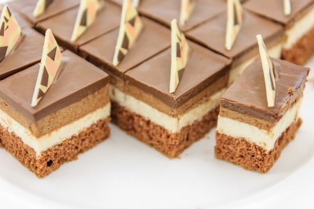 Delicious coffee cake on white plate, Close up with copy space and text.