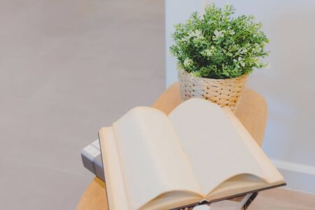 Back to School and Education Concept, Open empty book with ornament plant on the books stack in Library room, Top view with copy space and textの写真素材