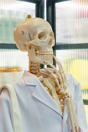 Skeleton or Skull head wearing white scientific lab coat. Educational materialの写真素材