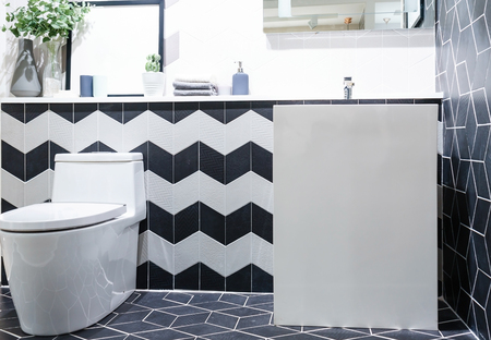 Modern bathroom interior with modern countertop basin, toilet and mirrorの写真素材