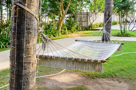 Hammock on the beach in a sunny summer day. Rest in the garden. Empty white hammock between pine...