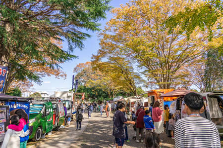 MITO, IBARAKI, JAPAN - NOVEMBER 10, 2019: Ibaraki Prefectural Museum of History, is well known for the avenues of gingko trees located in the grounds.のeditorial素材