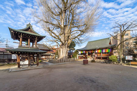 Hida Kokubunji old Shingon Buddhist Temple of Takayama, The wooden main hall is one of Takayama oldest building from Marunochi period (A.D.1336-1573)のeditorial素材