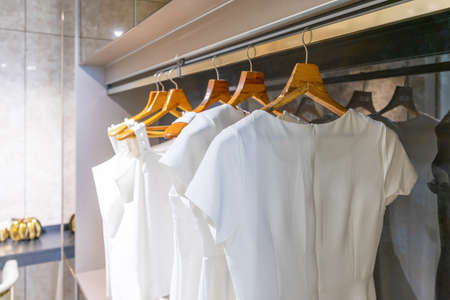 modern wooden wardrobe with women clothes hanging on rail in walk in closet, Scandinavian styleの写真素材