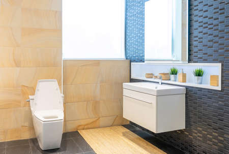Bathroom interior with white wall, vintage furniture, towels, toilet and sinkの写真素材