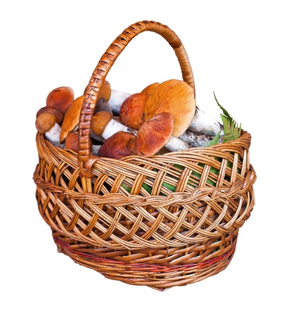 Basket full of mushrooms, aspen, isolated on a wooden backgroundの写真素材
