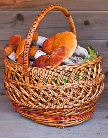 Basket full of mushrooms, aspen, on a wooden backgroundの写真素材