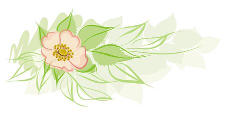 Horizontal floral element with sketchy  linesのイラスト素材