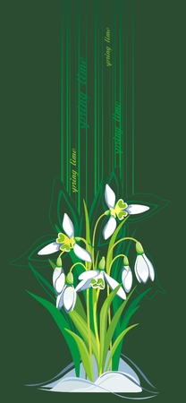 Blooming Snowdrops on green backgroundのイラスト素材
