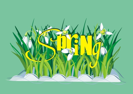 Spring Background with Snowdrops and textのイラスト素材