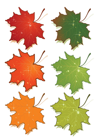 Vector illustration of maple's leafs set.のイラスト素材