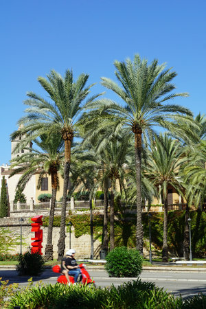 Palma de Mallorca, Spain. Red Palma sign under characteristic palm trees and red scooter with pair of turists in motionの写真素材
