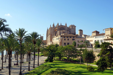 Cityscape of Palma de Mallorca with Palma Cathedral. Mallorca, Spainの写真素材