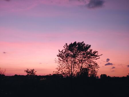 Evening Colors of Natureの写真素材