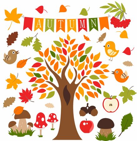 Autumn forest, set, icon, pictogram, vektorのイラスト素材