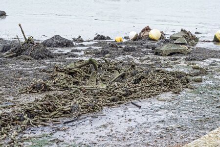 Low tide junkの写真素材
