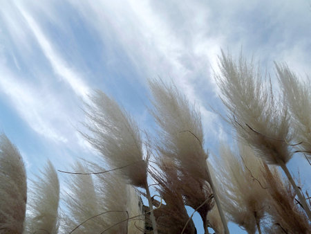 Winterwindの写真素材