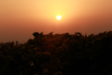 Beautiful sunrise in mountain range.の写真素材