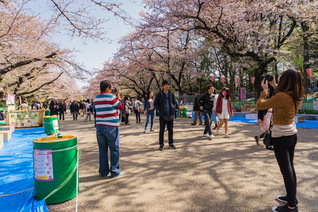 Tokyo, Japan - March 31, 2018: Visitors enjoy Cherry Blossom in Ueno Park Tokyo, Japan in Sakura Festivalのeditorial素材