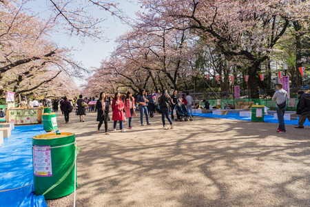 Tokyo, Japan - March 31, 2018: Visitors enjoy Cherry Blossom in Ueno Park Tokyo, Japan in Sakura Festivalのeditorial素材
