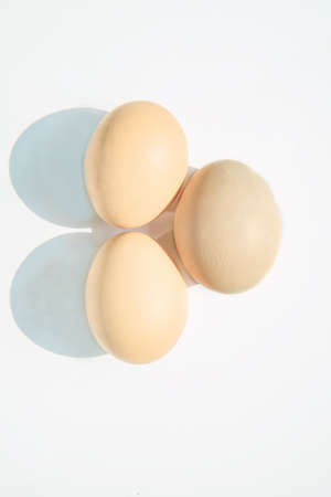 eggs nations foodの写真素材