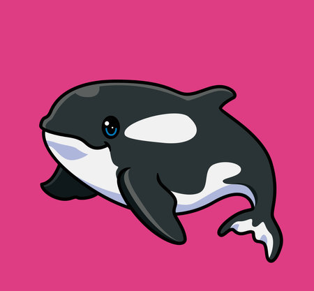 cute orca whale. isolated cartoon animal illustration. Flat Style Sticker Icon Design Premium Logo vector. Mascot Characterのイラスト素材