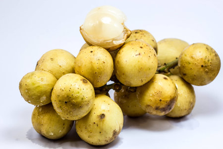 Fresh longkong fruit, Lansium parasiticum, Thailand