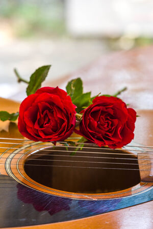 Guitar and roseの写真素材