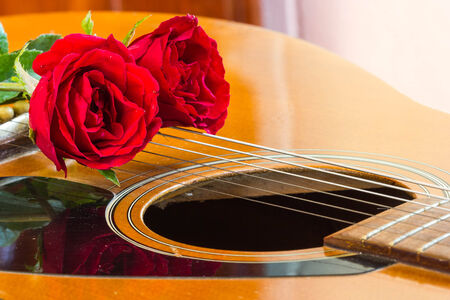 Guitar and roseの写真素材